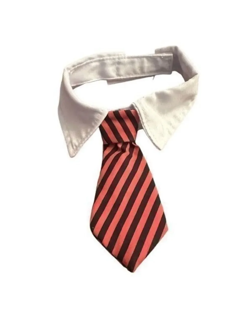 Dog Shirt Collar and Tie